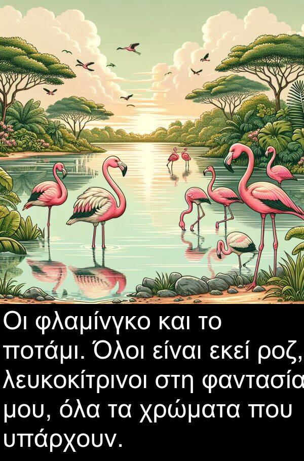 φαντασία: Οι φλαμίνγκο και το ποτάμι. Όλοι είναι εκεί ροζ, λευκοκίτρινοι στη φαντασία μου, όλα τα χρώματα που υπάρχουν.