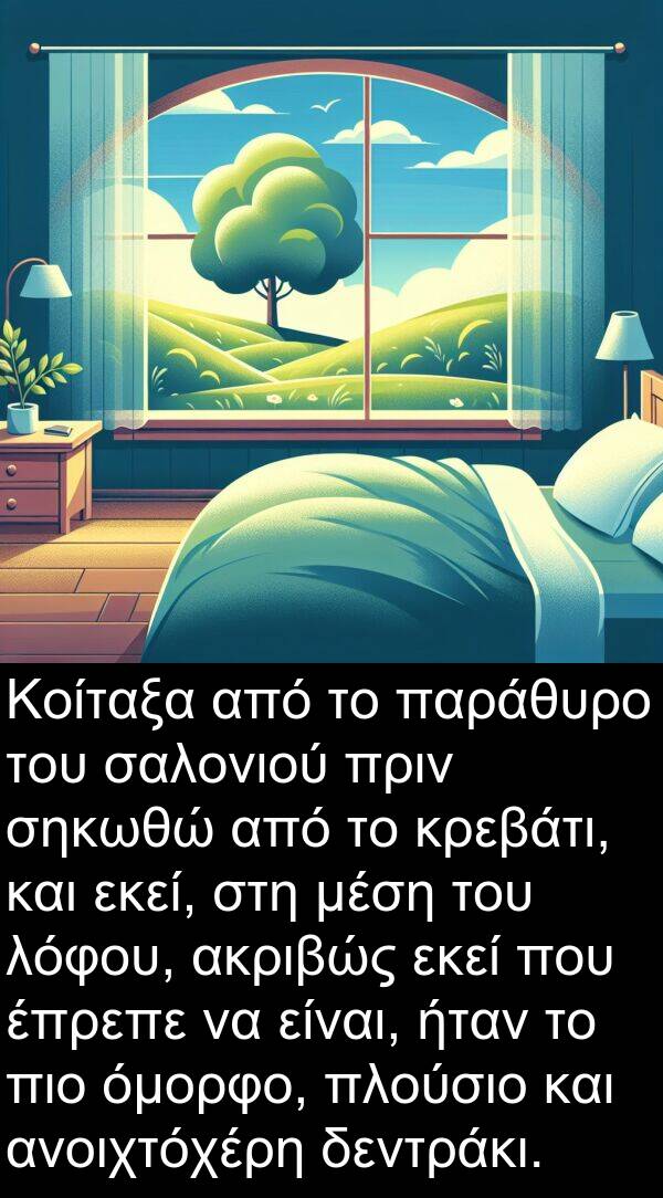 εκεί: Κοίταξα από το παράθυρο του σαλονιού πριν σηκωθώ από το κρεβάτι, και εκεί, στη μέση του λόφου, ακριβώς εκεί που έπρεπε να είναι, ήταν το πιο όμορφο, πλούσιο και ανοιχτόχέρη δεντράκι.