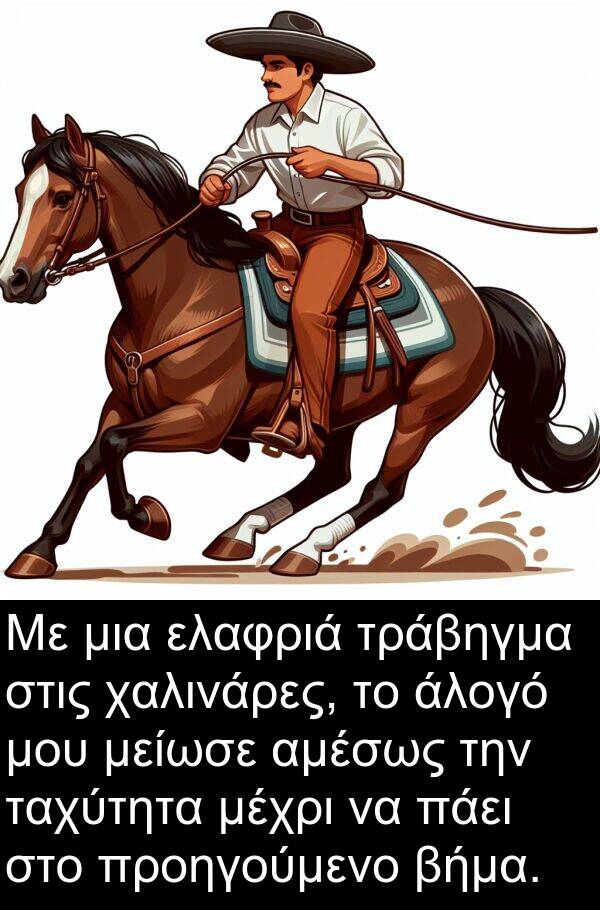 ταχύτητα: Με μια ελαφριά τράβηγμα στις χαλινάρες, το άλογό μου μείωσε αμέσως την ταχύτητα μέχρι να πάει στο προηγούμενο βήμα.