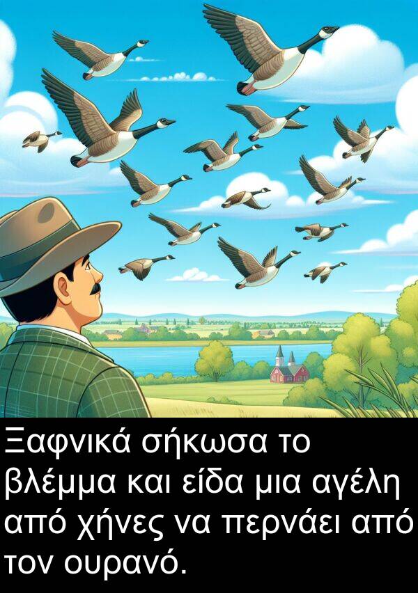 είδα: Ξαφνικά σήκωσα το βλέμμα και είδα μια αγέλη από χήνες να περνάει από τον ουρανό.