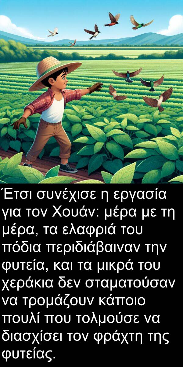 μικρά: Έτσι συνέχισε η εργασία για τον Χουάν: μέρα με τη μέρα, τα ελαφριά του πόδια περιδιάβαιναν την φυτεία, και τα μικρά του χεράκια δεν σταματούσαν να τρομάζουν κάποιο πουλί που τολμούσε να διασχίσει τον φράχτη της φυτείας.