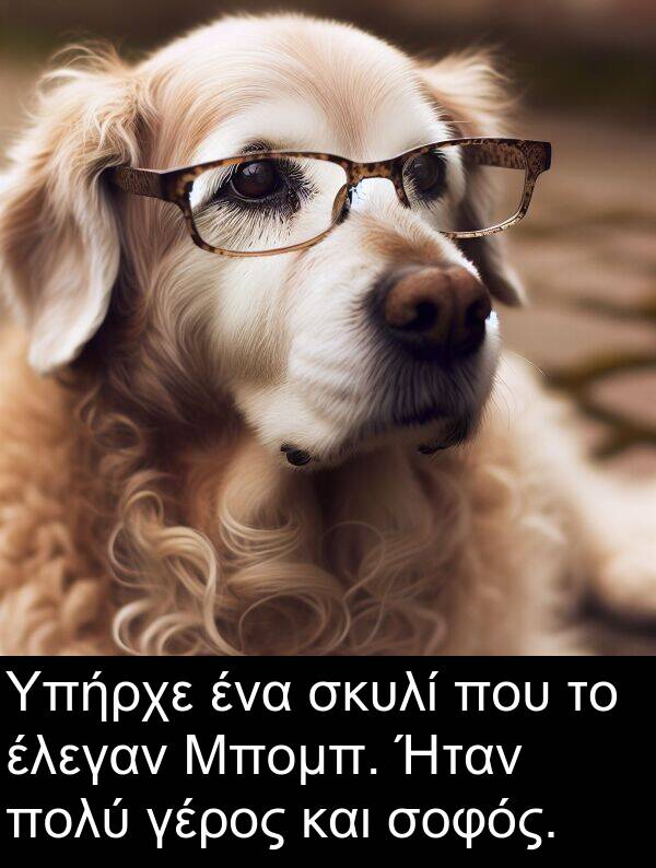 σκυλί: Υπήρχε ένα σκυλί που το έλεγαν Μπομπ. Ήταν πολύ γέρος και σοφός.