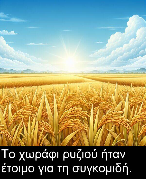 ήταν: Το χωράφι ρυζιού ήταν έτοιμο για τη συγκομιδή.