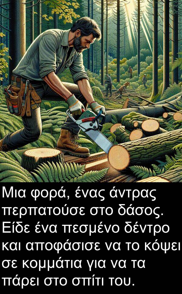 αποφάσισε: Μια φορά, ένας άντρας περπατούσε στο δάσος. Είδε ένα πεσμένο δέντρο και αποφάσισε να το κόψει σε κομμάτια για να τα πάρει στο σπίτι του.