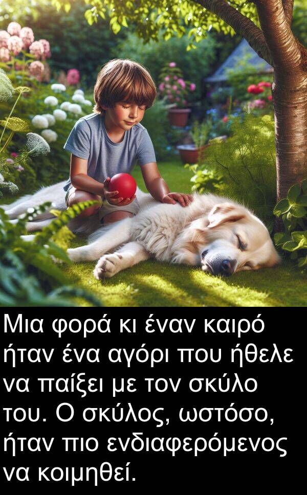 ήθελε: Μια φορά κι έναν καιρό ήταν ένα αγόρι που ήθελε να παίξει με τον σκύλο του. Ο σκύλος, ωστόσο, ήταν πιο ενδιαφερόμενος να κοιμηθεί.
