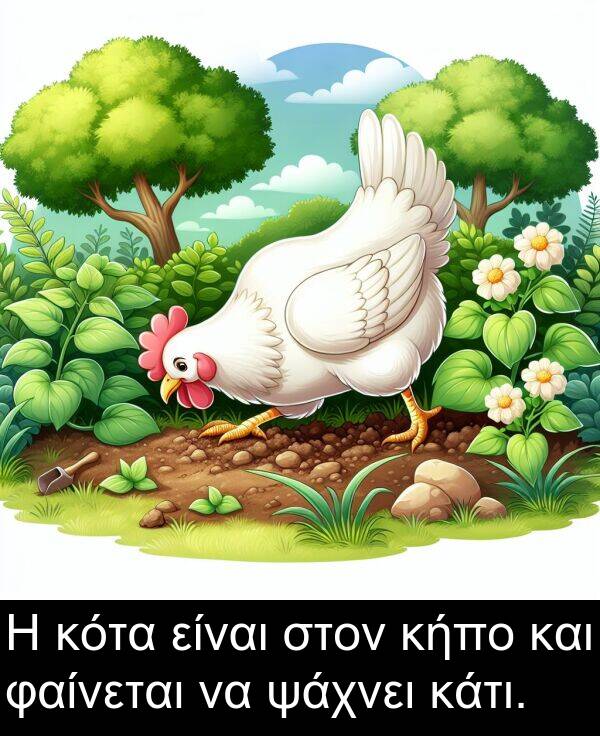 φαίνεται: Η κότα είναι στον κήπο και φαίνεται να ψάχνει κάτι.
