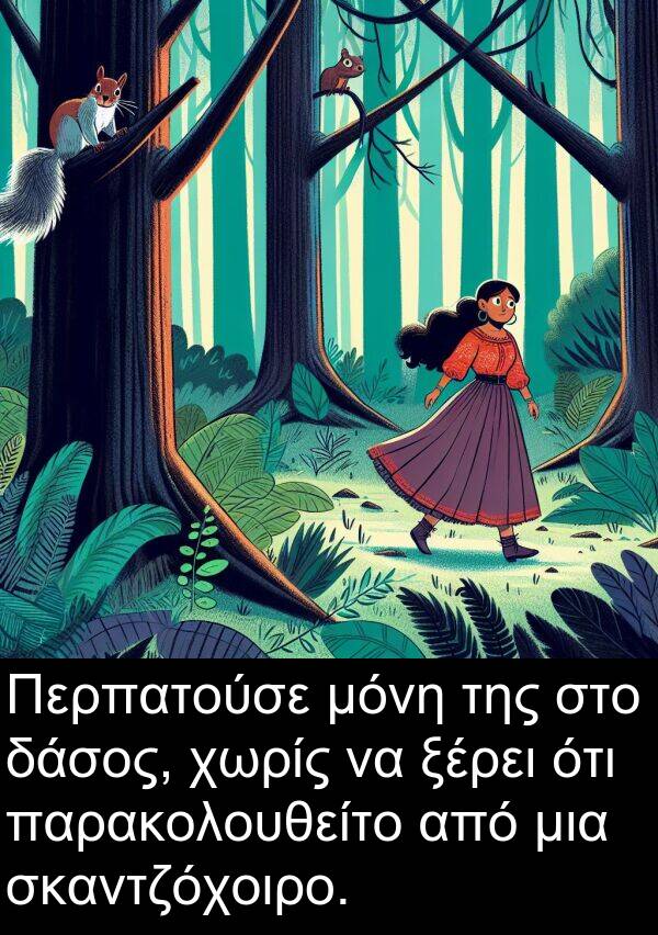 μόνη: Περπατούσε μόνη της στο δάσος, χωρίς να ξέρει ότι παρακολουθείτο από μια σκαντζόχοιρο.