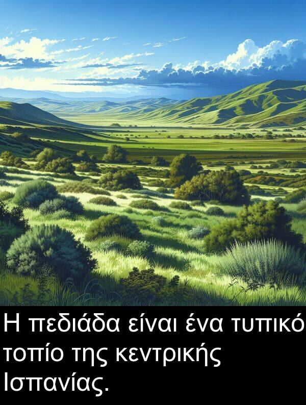 τοπίο: Η πεδιάδα είναι ένα τυπικό τοπίο της κεντρικής Ισπανίας.