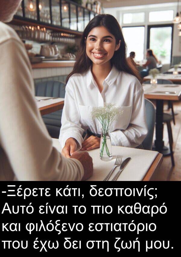 φιλόξενο: -Ξέρετε κάτι, δεσποινίς; Αυτό είναι το πιο καθαρό και φιλόξενο εστιατόριο που έχω δει στη ζωή μου.