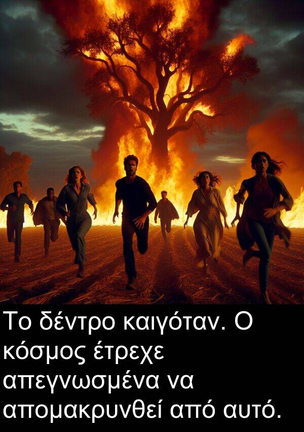 καιγόταν: Το δέντρο καιγόταν. Ο κόσμος έτρεχε απεγνωσμένα να απομακρυνθεί από αυτό.