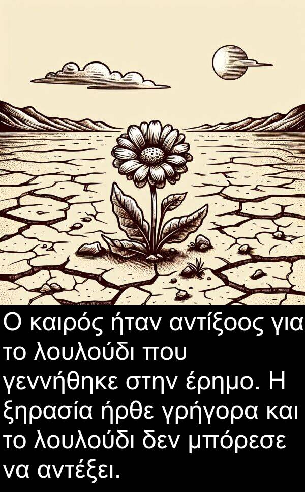 γεννήθηκε: Ο καιρός ήταν αντίξοος για το λουλούδι που γεννήθηκε στην έρημο. Η ξηρασία ήρθε γρήγορα και το λουλούδι δεν μπόρεσε να αντέξει.