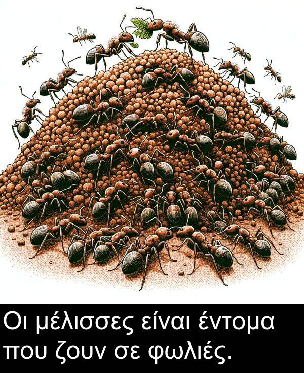 ζουν: Οι μέλισσες είναι έντομα που ζουν σε φωλιές.
