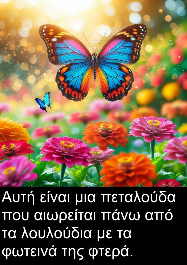 φτερά: Αυτή είναι μια πεταλούδα που αιωρείται πάνω από τα λουλούδια με τα φωτεινά της φτερά.