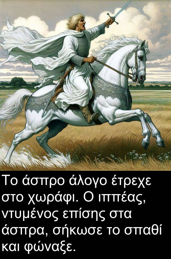 επίσης: Το άσπρο άλογο έτρεχε στο χωράφι. Ο ιππέας, ντυμένος επίσης στα άσπρα, σήκωσε το σπαθί και φώναξε.