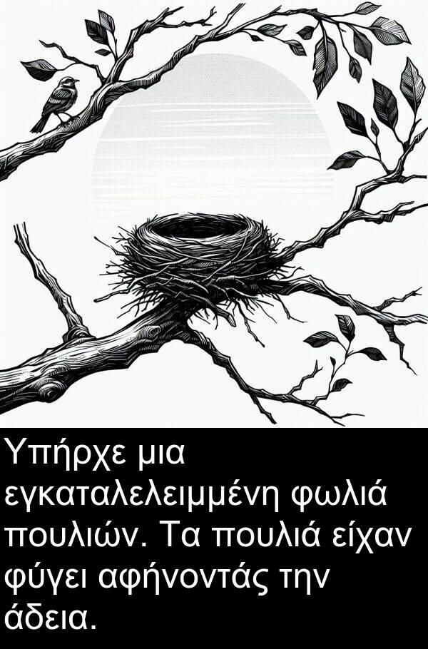 εγκαταλελειμμένη: Υπήρχε μια εγκαταλελειμμένη φωλιά πουλιών. Τα πουλιά είχαν φύγει αφήνοντάς την άδεια.