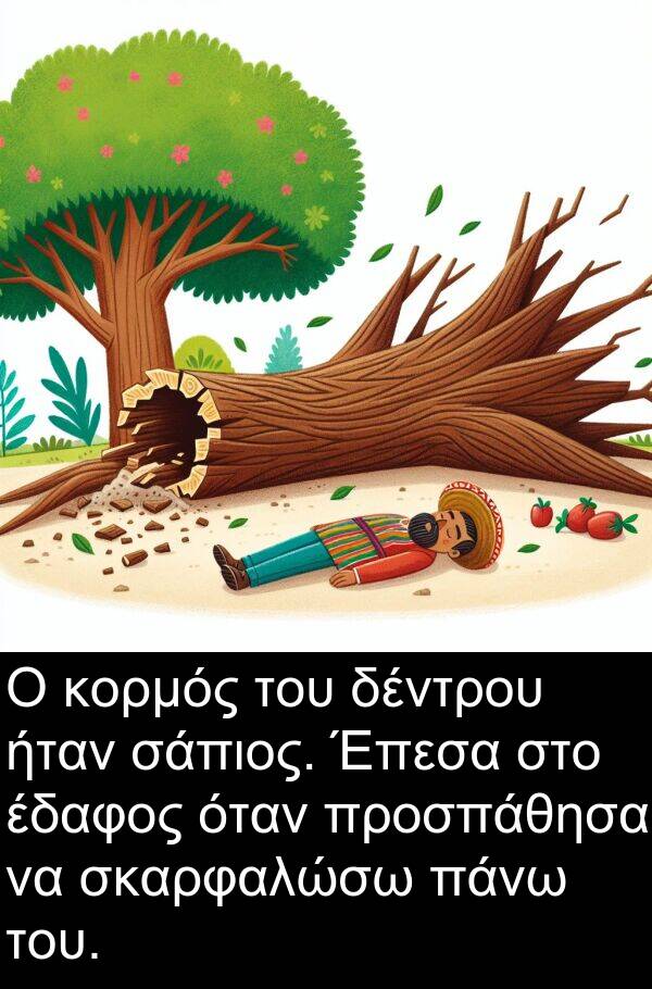 σάπιος: Ο κορμός του δέντρου ήταν σάπιος. Έπεσα στο έδαφος όταν προσπάθησα να σκαρφαλώσω πάνω του.