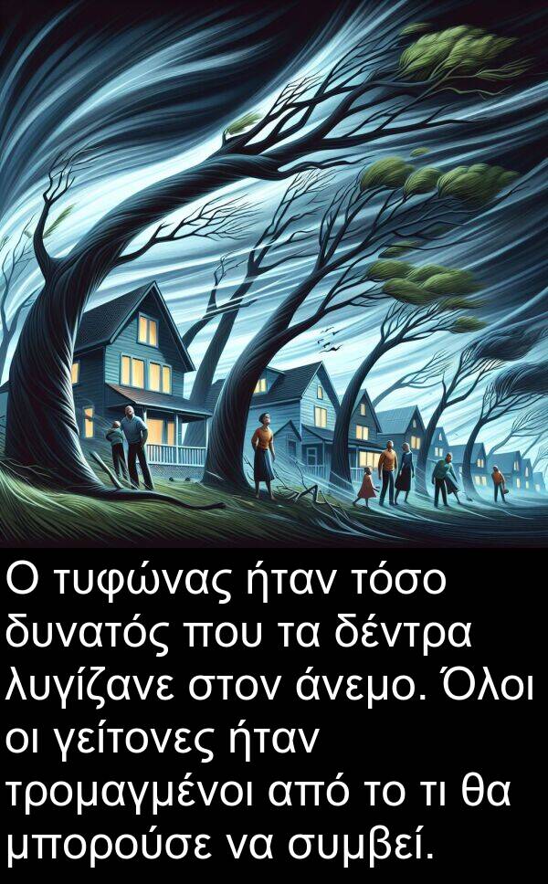 δέντρα: Ο τυφώνας ήταν τόσο δυνατός που τα δέντρα λυγίζανε στον άνεμο. Όλοι οι γείτονες ήταν τρομαγμένοι από το τι θα μπορούσε να συμβεί.