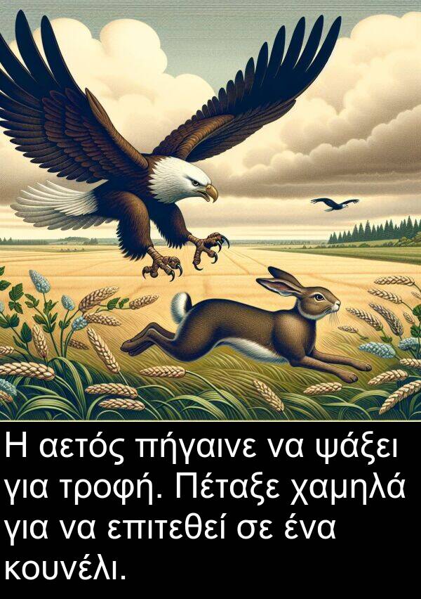 χαμηλά: Η αετός πήγαινε να ψάξει για τροφή. Πέταξε χαμηλά για να επιτεθεί σε ένα κουνέλι.