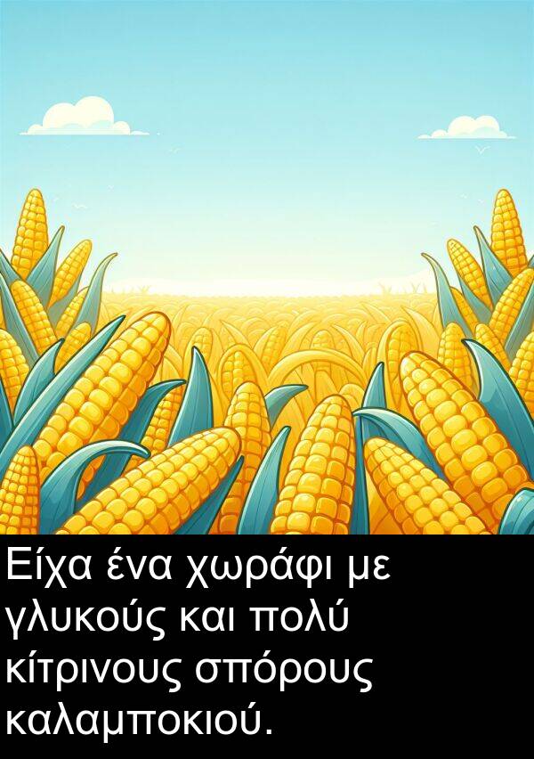 χωράφι: Είχα ένα χωράφι με γλυκούς και πολύ κίτρινους σπόρους καλαμποκιού.