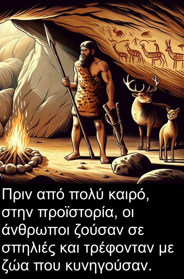 ζούσαν: Πριν από πολύ καιρό, στην προϊστορία, οι άνθρωποι ζούσαν σε σπηλιές και τρέφονταν με ζώα που κυνηγούσαν.