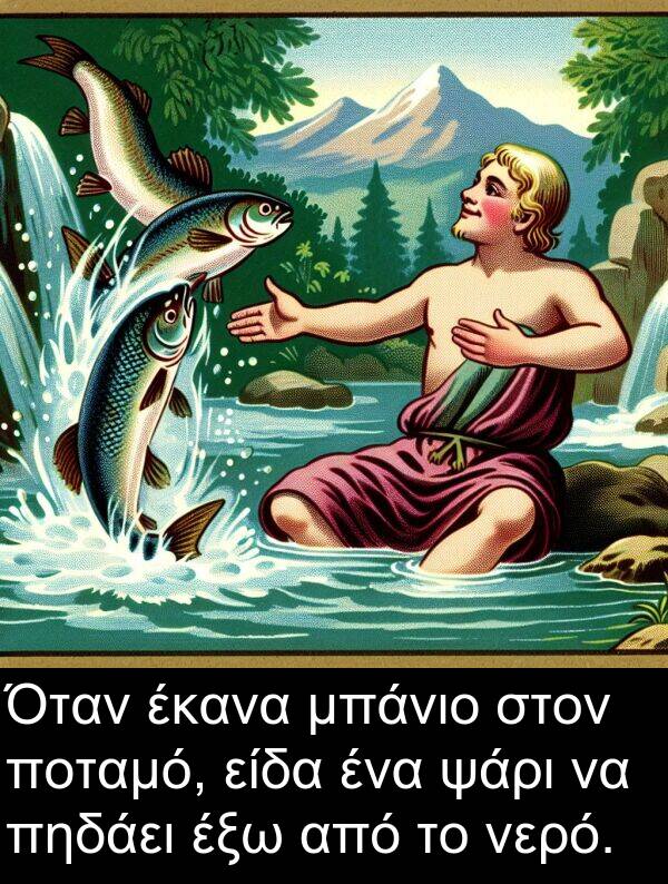ψάρι: Όταν έκανα μπάνιο στον ποταμό, είδα ένα ψάρι να πηδάει έξω από το νερό.