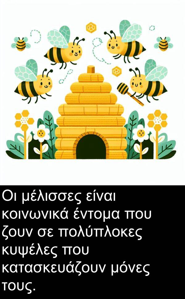 ζουν: Οι μέλισσες είναι κοινωνικά έντομα που ζουν σε πολύπλοκες κυψέλες που κατασκευάζουν μόνες τους.