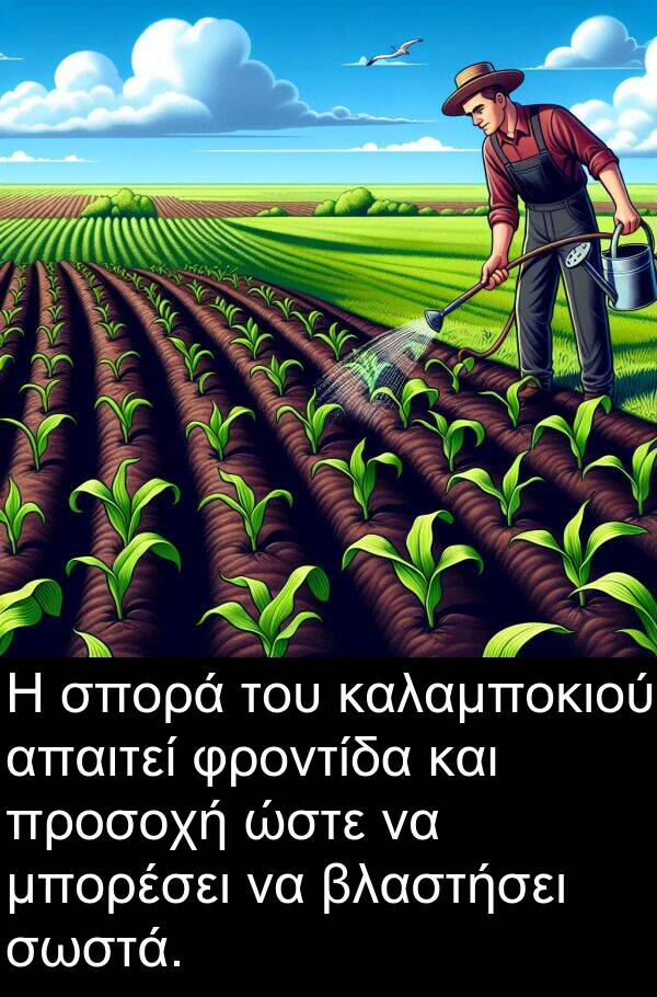 ώστε: Η σπορά του καλαμποκιού απαιτεί φροντίδα και προσοχή ώστε να μπορέσει να βλαστήσει σωστά.