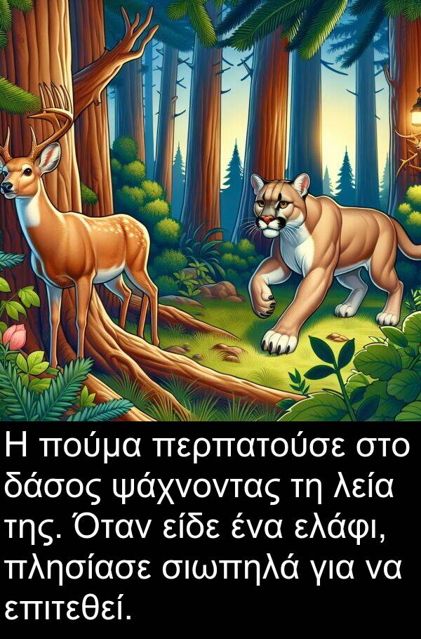 ψάχνοντας: Η πούμα περπατούσε στο δάσος ψάχνοντας τη λεία της. Όταν είδε ένα ελάφι, πλησίασε σιωπηλά για να επιτεθεί.