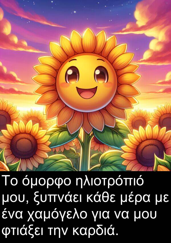 χαμόγελο: Το όμορφο ηλιοτρόπιό μου, ξυπνάει κάθε μέρα με ένα χαμόγελο για να μου φτιάξει την καρδιά.