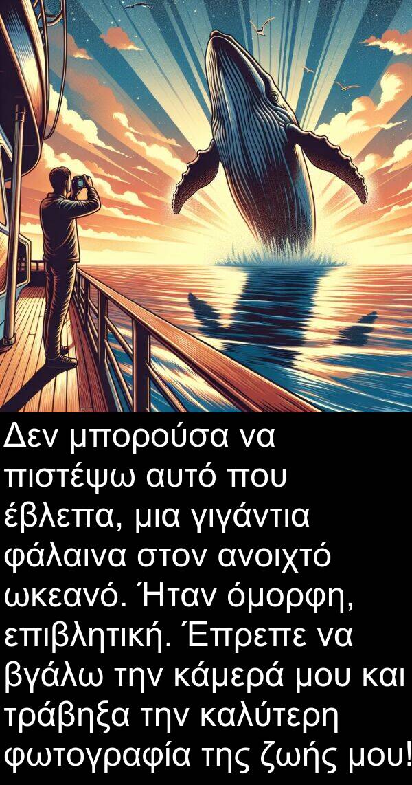 φάλαινα: Δεν μπορούσα να πιστέψω αυτό που έβλεπα, μια γιγάντια φάλαινα στον ανοιχτό ωκεανό. Ήταν όμορφη, επιβλητική. Έπρεπε να βγάλω την κάμερά μου και τράβηξα την καλύτερη φωτογραφία της ζωής μου!