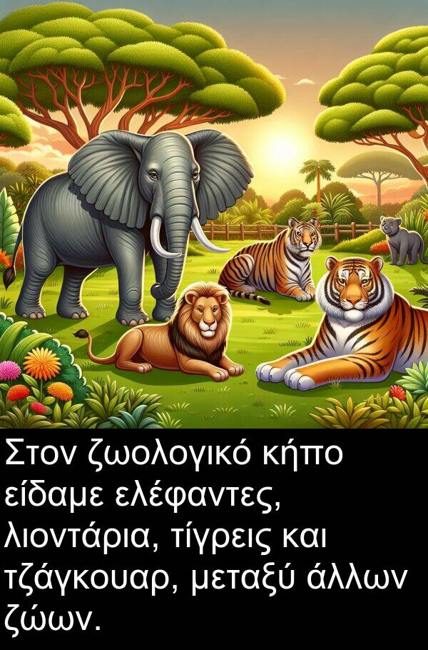 ζώων: Στον ζωολογικό κήπο είδαμε ελέφαντες, λιοντάρια, τίγρεις και τζάγκουαρ, μεταξύ άλλων ζώων.
