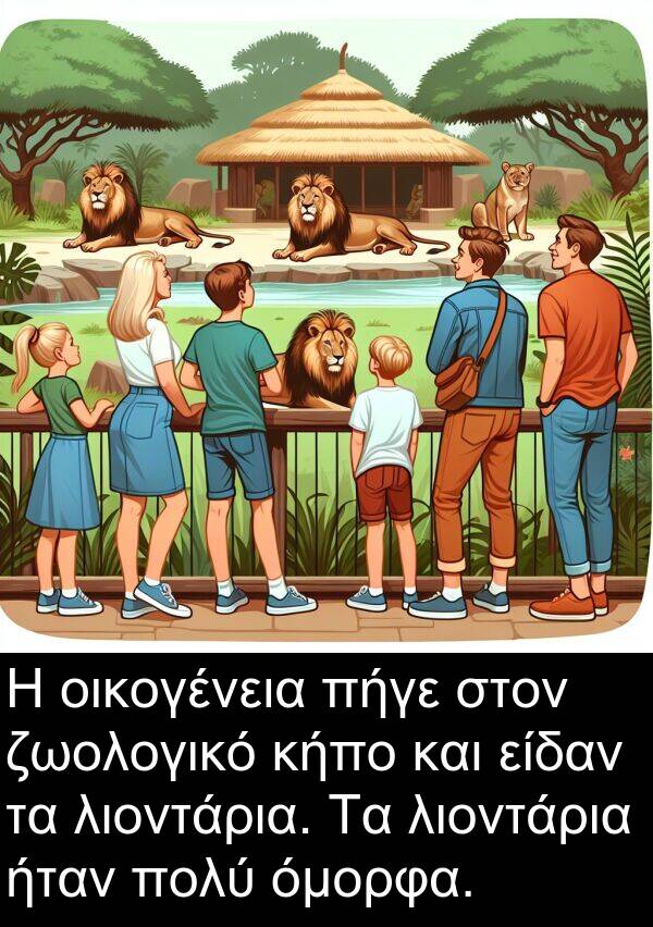 οικογένεια: Η οικογένεια πήγε στον ζωολογικό κήπο και είδαν τα λιοντάρια. Τα λιοντάρια ήταν πολύ όμορφα.