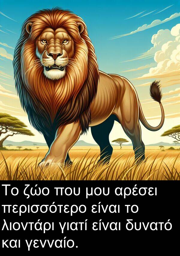 ζώο: Το ζώο που μου αρέσει περισσότερο είναι το λιοντάρι γιατί είναι δυνατό και γενναίο.