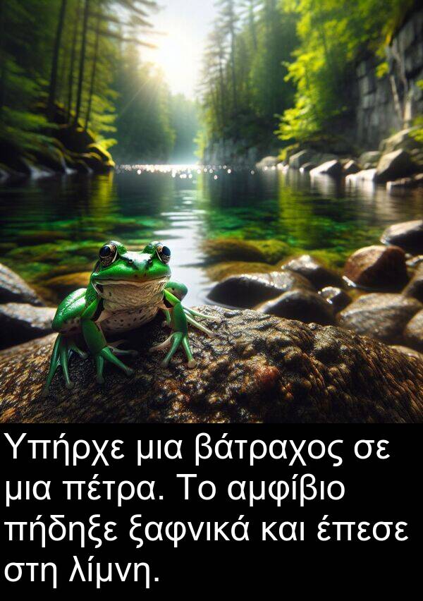 ξαφνικά: Υπήρχε μια βάτραχος σε μια πέτρα. Το αμφίβιο πήδηξε ξαφνικά και έπεσε στη λίμνη.