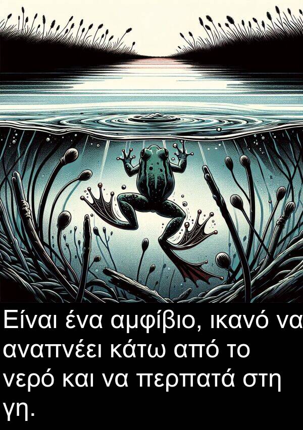 αναπνέει: Είναι ένα αμφίβιο, ικανό να αναπνέει κάτω από το νερό και να περπατά στη γη.