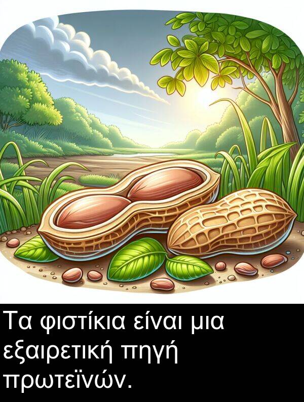 φιστίκια: Τα φιστίκια είναι μια εξαιρετική πηγή πρωτεϊνών.