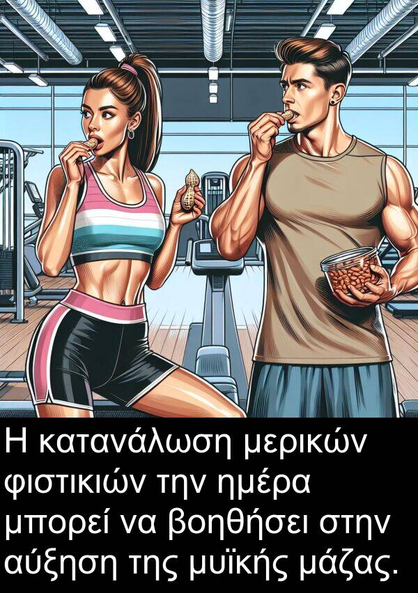 φιστικιών: Η κατανάλωση μερικών φιστικιών την ημέρα μπορεί να βοηθήσει στην αύξηση της μυϊκής μάζας.