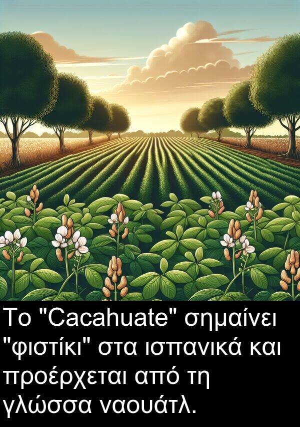 ναουάτλ: Το "Cacahuate" σημαίνει "φιστίκι" στα ισπανικά και προέρχεται από τη γλώσσα ναουάτλ.