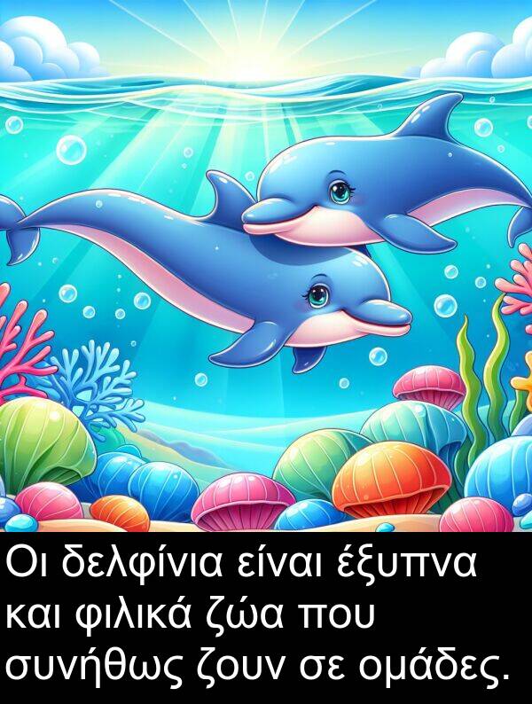 ζώα: Οι δελφίνια είναι έξυπνα και φιλικά ζώα που συνήθως ζουν σε ομάδες.