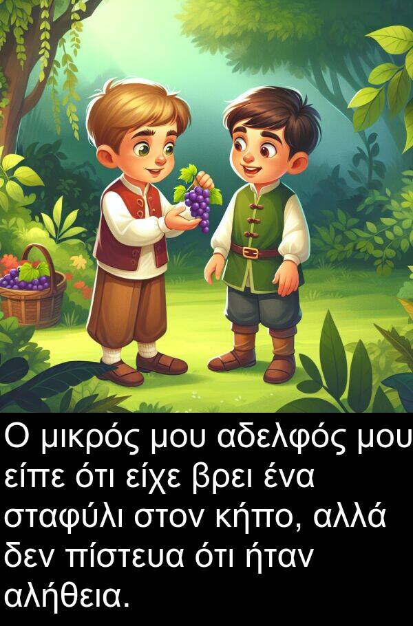 μικρός: Ο μικρός μου αδελφός μου είπε ότι είχε βρει ένα σταφύλι στον κήπο, αλλά δεν πίστευα ότι ήταν αλήθεια.