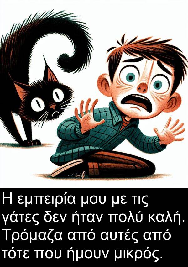 ήμουν: Η εμπειρία μου με τις γάτες δεν ήταν πολύ καλή. Τρόμαζα από αυτές από τότε που ήμουν μικρός.