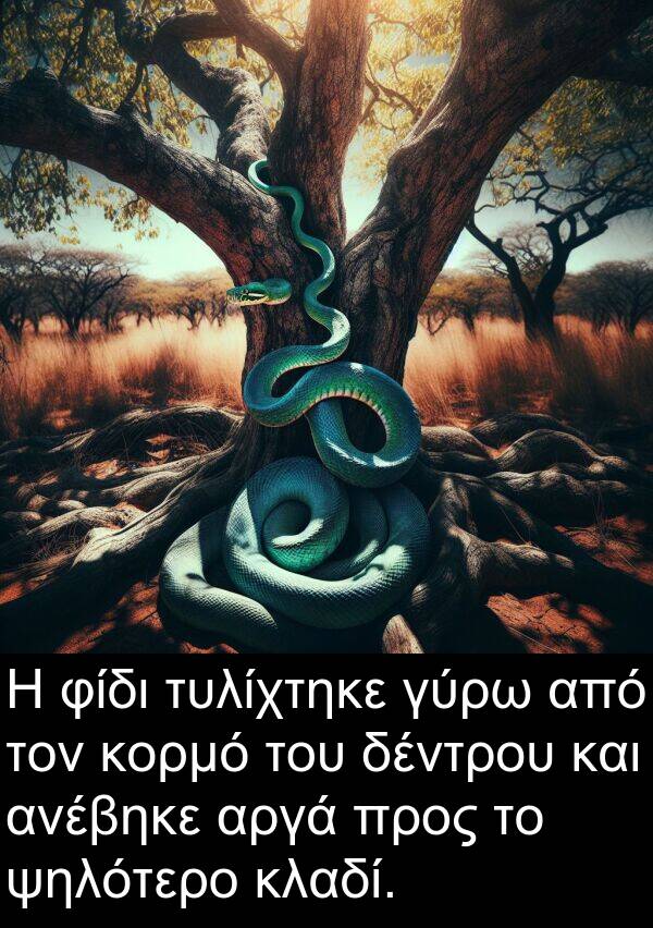 φίδι: Η φίδι τυλίχτηκε γύρω από τον κορμό του δέντρου και ανέβηκε αργά προς το ψηλότερο κλαδί.