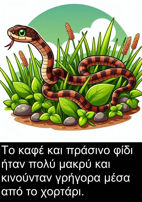 φίδι: Το καφέ και πράσινο φίδι ήταν πολύ μακρύ και κινούνταν γρήγορα μέσα από το χορτάρι.
