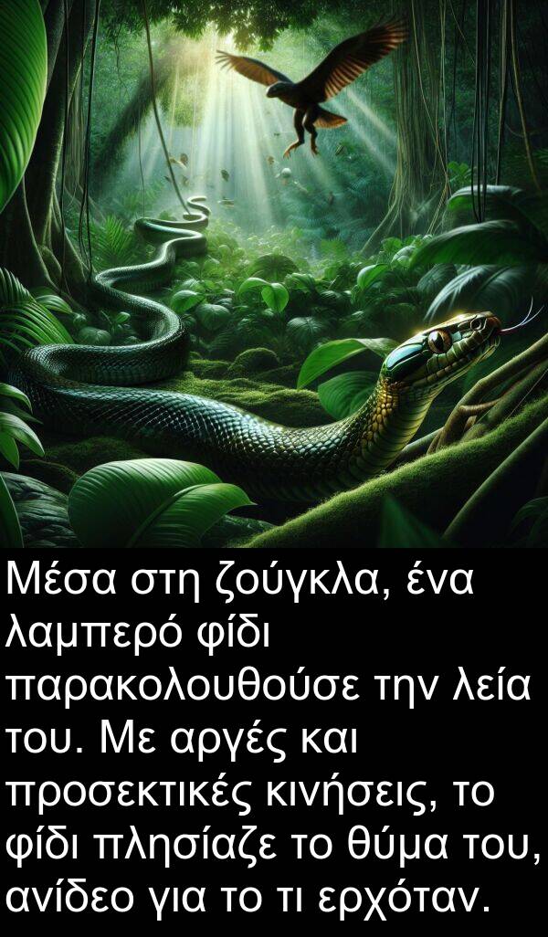 φίδι: Μέσα στη ζούγκλα, ένα λαμπερό φίδι παρακολουθούσε την λεία του. Με αργές και προσεκτικές κινήσεις, το φίδι πλησίαζε το θύμα του, ανίδεο για το τι ερχόταν.