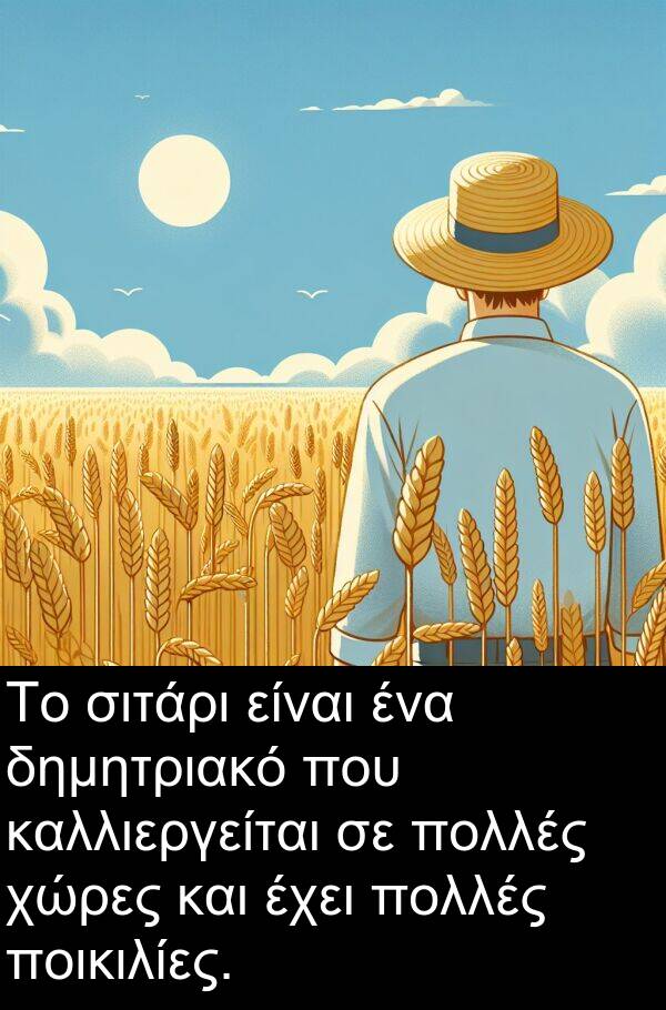 χώρες: Το σιτάρι είναι ένα δημητριακό που καλλιεργείται σε πολλές χώρες και έχει πολλές ποικιλίες.
