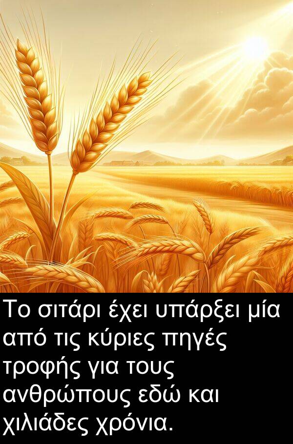 εδώ: Το σιτάρι έχει υπάρξει μία από τις κύριες πηγές τροφής για τους ανθρώπους εδώ και χιλιάδες χρόνια.