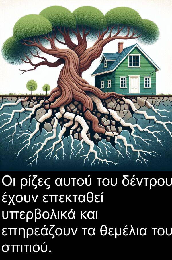 ρίζες: Οι ρίζες αυτού του δέντρου έχουν επεκταθεί υπερβολικά και επηρεάζουν τα θεμέλια του σπιτιού.