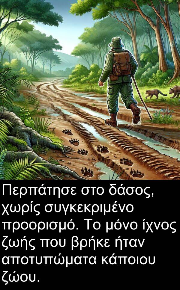 ζώου: Περπάτησε στο δάσος, χωρίς συγκεκριμένο προορισμό. Το μόνο ίχνος ζωής που βρήκε ήταν αποτυπώματα κάποιου ζώου.
