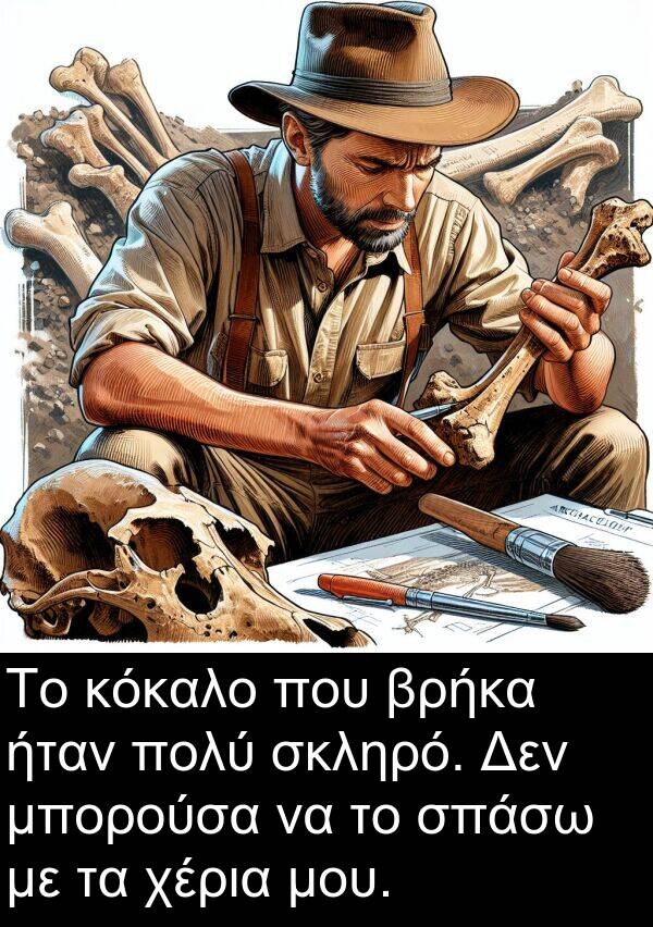 σκληρό: Το κόκαλο που βρήκα ήταν πολύ σκληρό. Δεν μπορούσα να το σπάσω με τα χέρια μου.