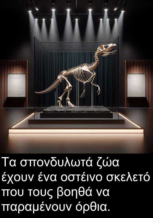 ζώα: Τα σπονδυλωτά ζώα έχουν ένα οστέινο σκελετό που τους βοηθά να παραμένουν όρθια.